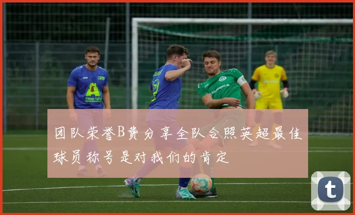 团队荣誉B费分享全队合照英超最佳球员称号是对我们的肯定